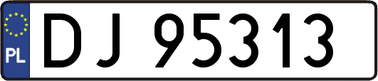 DJ95313