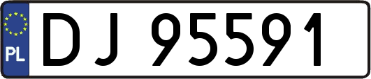 DJ95591