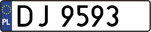DJ9593