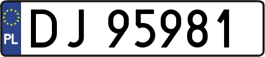 DJ95981