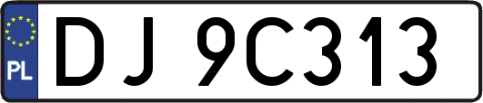 DJ9C313
