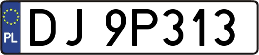 DJ9P313