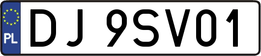 DJ9SV01