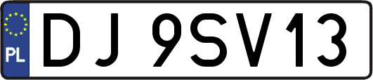 DJ9SV13
