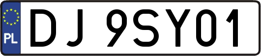 DJ9SY01