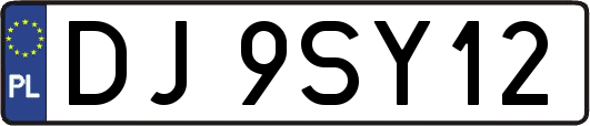 DJ9SY12