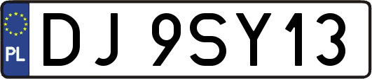 DJ9SY13