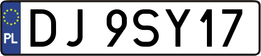 DJ9SY17