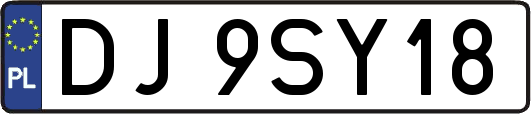 DJ9SY18