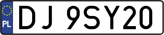 DJ9SY20