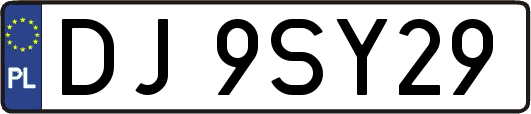 DJ9SY29