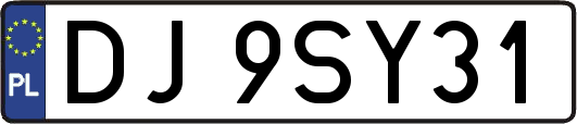 DJ9SY31