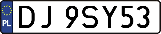 DJ9SY53