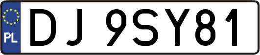 DJ9SY81