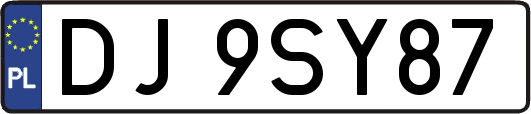 DJ9SY87