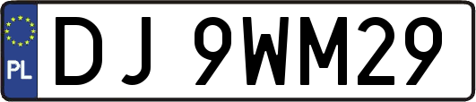 DJ9WM29