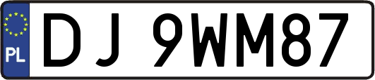 DJ9WM87