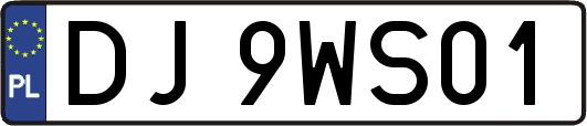 DJ9WS01