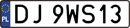 DJ9WS13