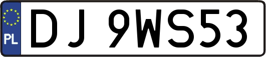 DJ9WS53