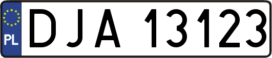 DJA13123