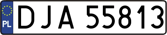 DJA55813