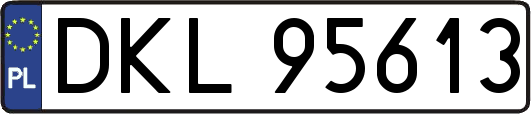 DKL95613