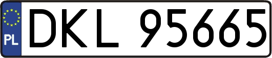 DKL95665