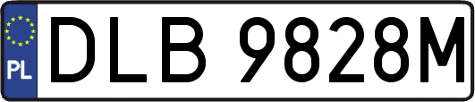 DLB9828M