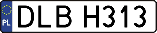 DLBH313