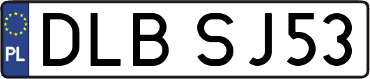 DLBSJ53
