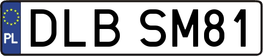 DLBSM81