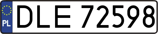 DLE72598