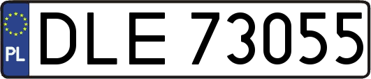 DLE73055