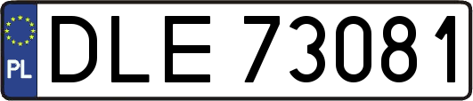 DLE73081