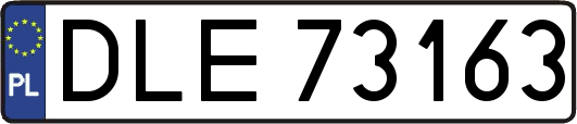 DLE73163