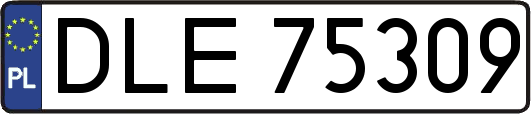 DLE75309