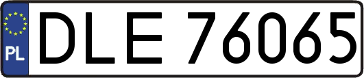 DLE76065
