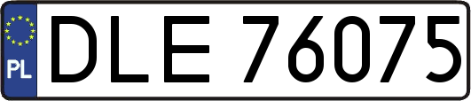 DLE76075