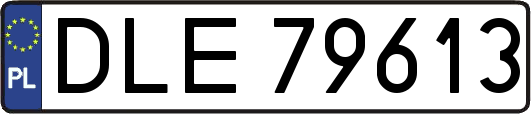 DLE79613
