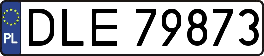 DLE79873