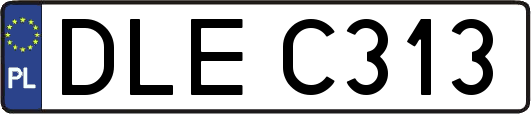 DLEC313