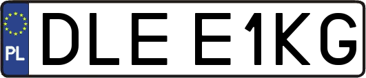 DLEE1KG