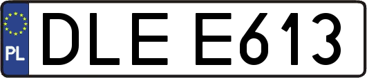DLEE613