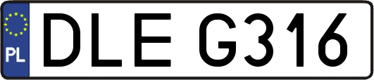 DLEG316