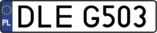 DLEG503
