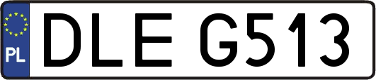 DLEG513