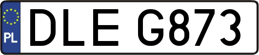 DLEG873