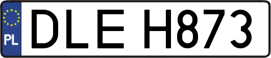 DLEH873