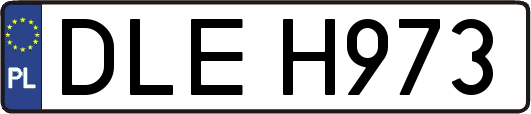 DLEH973